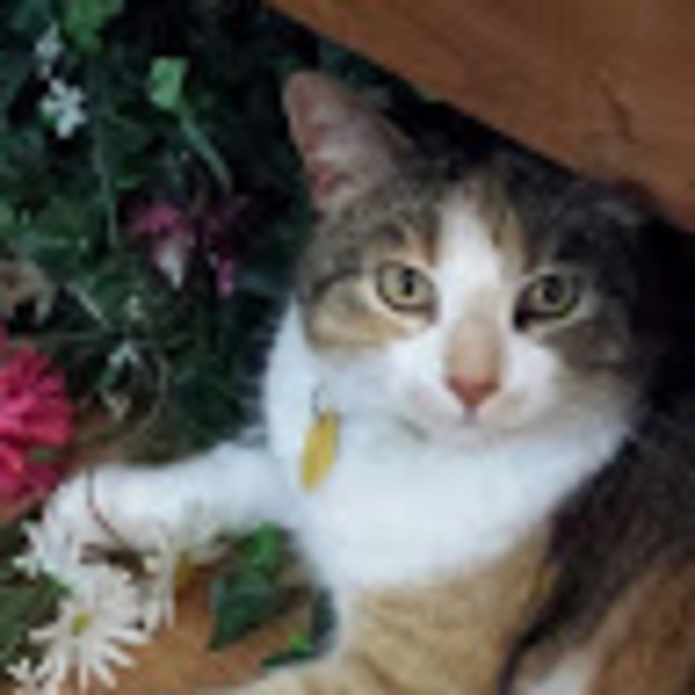 Meet your Posher, Rita